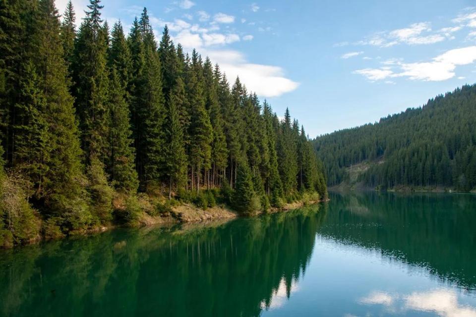 Camping Aviator, Numai Teren, Campare Pentru Rulote Autorulote Personale, Campingul Nu Are Rulote !!! Busteni Bagian luar foto